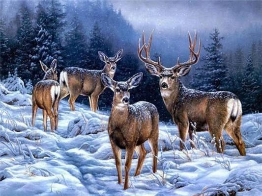 Winter Elk Diamond Painting