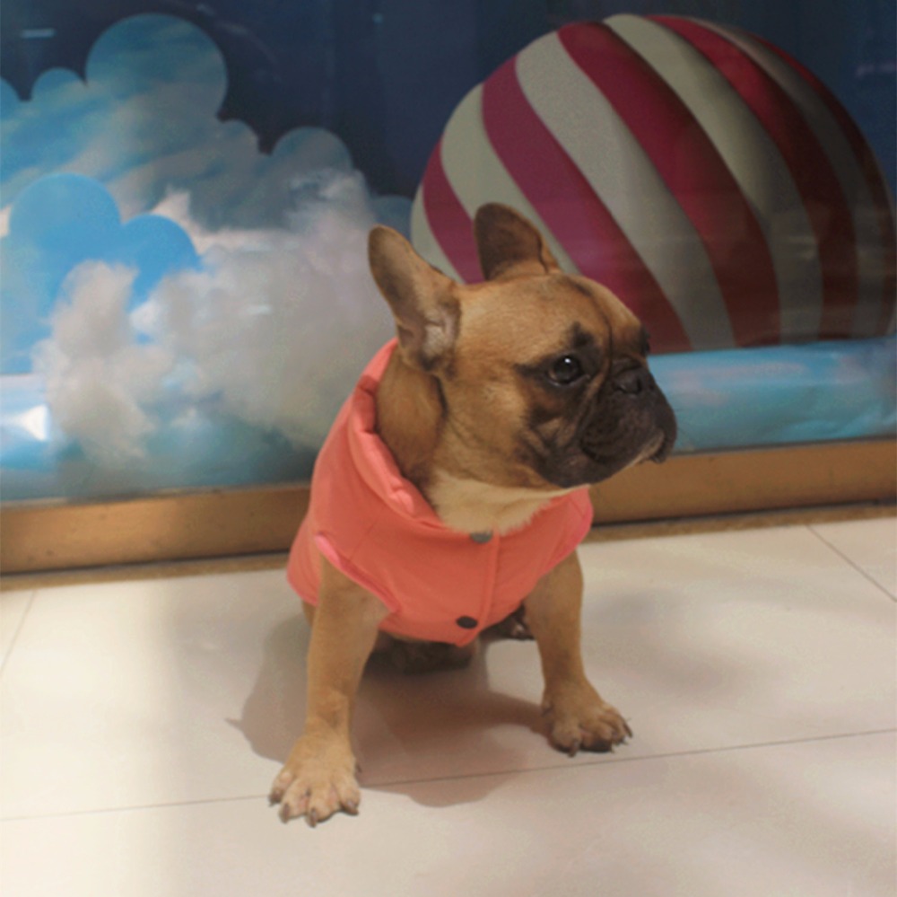 Warm Winter Dog Vest