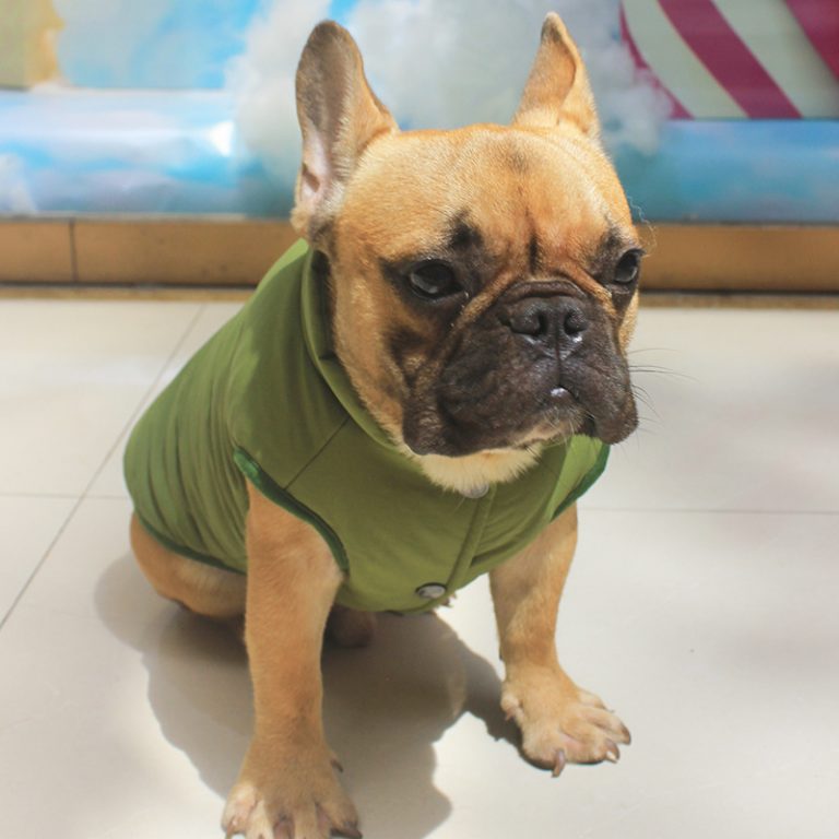 Warm Winter Dog Vest