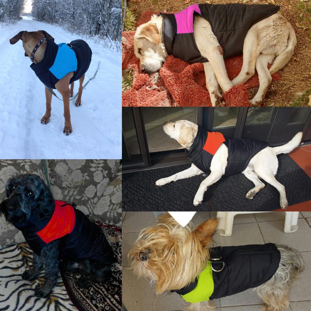 Winter Jacket For Small/Big Dogs