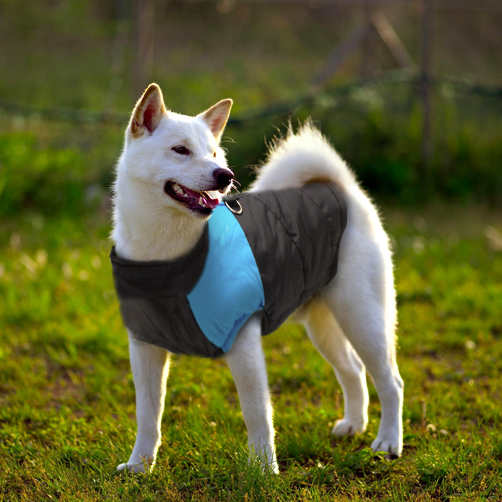 Winter Jacket For Small/Big Dogs