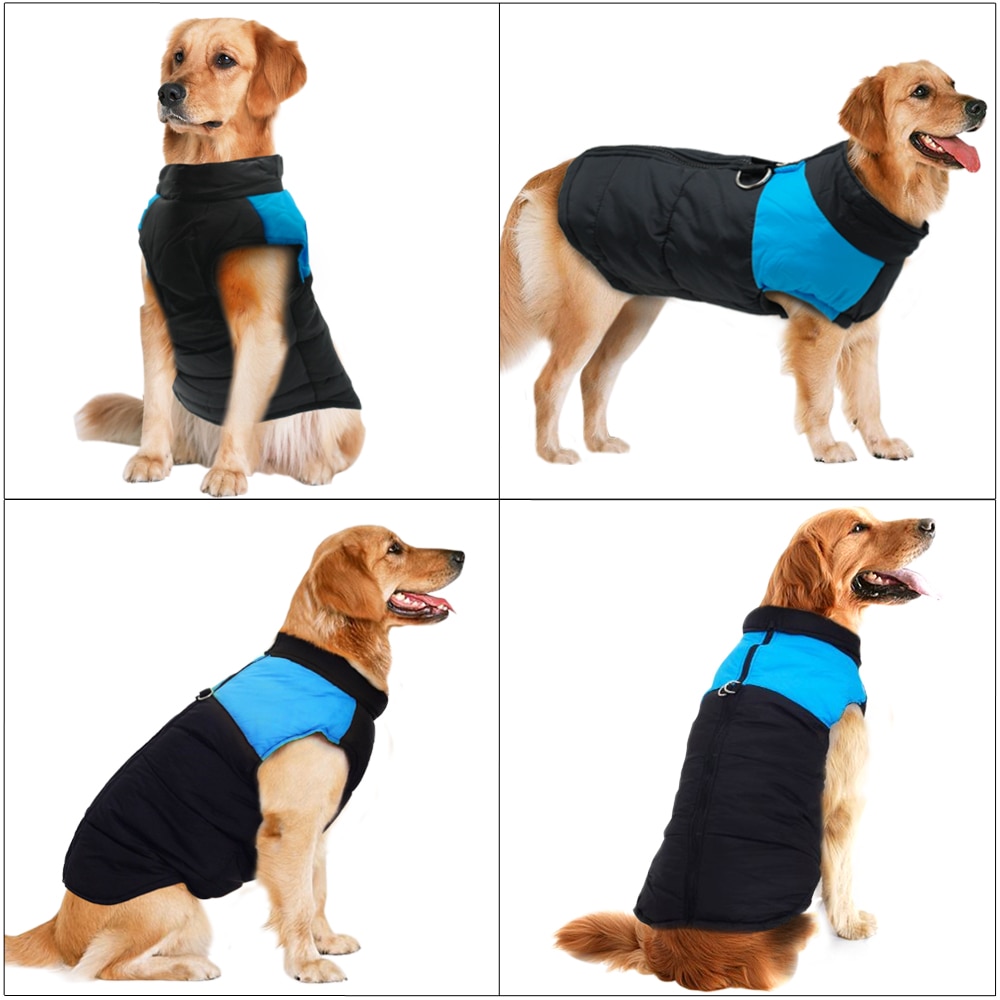 Winter Jacket For Small/Big Dogs