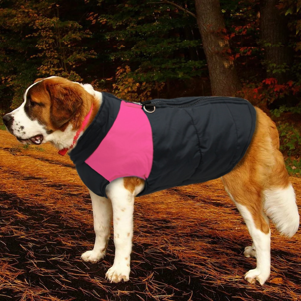 Winter Jacket For Small/Big Dogs