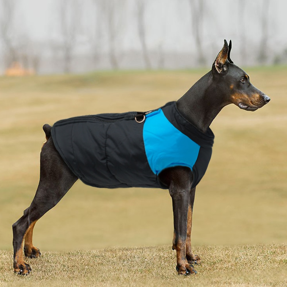 Winter Jacket For Small/Big Dogs